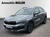 Skoda Kamiq enzkloesterle