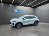 Ford Puma roedelhausen