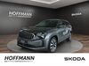 Skoda Kodiaq Wetter (Hessen)