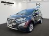 Ford EcoSport Hausen (Wied)