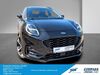 Ford Puma dankmarshausen
