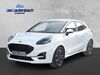 Ford Puma harzungen