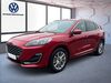 Ford Kuga gusenburg