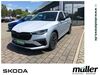 Skoda Scala schoena-kolpien