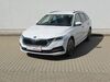 Skoda Octavia grossroehrsdorf