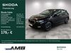 Skoda Fabia schoena-kolpien
