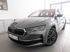 Skoda Octavia pahlsdorf