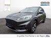 Ford Kuga hottelstedt