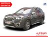 Subaru Forester neulietzegoericke
