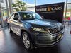 Skoda Kodiaq ober-hilbersheim