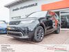 Land Rover Discovery dankmarshausen