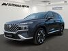 Hyundai SANTA FE hornburg