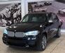 BMW X5 M50 niederhosenbach