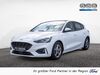 Ford Focus Büddenstedt