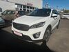 Kia Sorento trechtingshausen