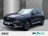 Hyundai SANTA FE suedergellersen