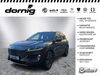 Ford Kuga hottelstedt