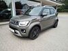 Suzuki Ignis salzfurtkapelle