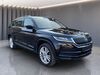 Skoda Kodiaq kreis|suedliche-weinstrasse