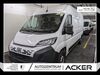 Fiat Ducato nieder-hilbersheim