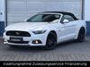 Ford Mustang roedelhausen