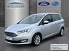 Ford C-Max dankmarshausen