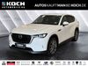 Mazda CX-60 Herbersdorf