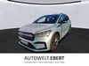 Skoda Enyaq gau-odernheim