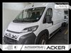 Fiat Ducato nieder-hilbersheim