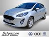 Ford Fiesta harzungen