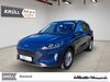 Ford Kuga wattmannshagen