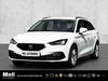 Seat Leon Biersdorf am See