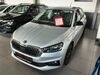 Skoda Fabia meinborn