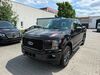 Ford F 150 schoena-kolpien