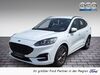 Ford Kuga bueddenstedt
