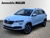 Skoda Karoq kreis|tuebingen