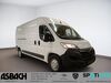 Opel Movano meinborn
