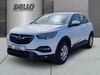 Opel Grandland (X) wunstorf