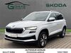 Skoda Karoq juetrichau