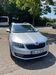 Skoda Octavia walhausen