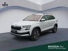 Skoda Karoq bueddenstedt