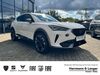 Cupra Formentor schoena-kolpien