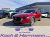 Mazda CX-30 quenstedt