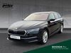 Skoda Octavia dankmarshausen