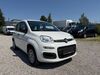 Fiat Panda Bahlingen am Kaiserstuhl