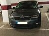 Skoda Rapid hoeringen