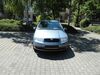 Skoda Fabia kreis|erlangen-hoechstadt