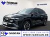 Hyundai TUCSON gruenewald