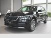 Skoda Kamiq Voerde (Niederrhein)