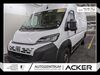 Fiat Ducato nieder-hilbersheim